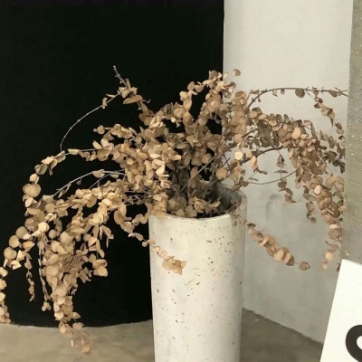 Furry插画故事感营造FurryQQ群